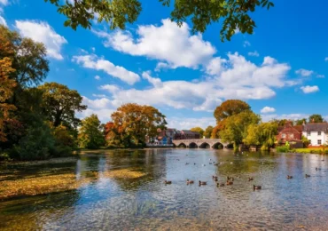 Moving to Fordingbridge: A Complete Guide for Home Movers